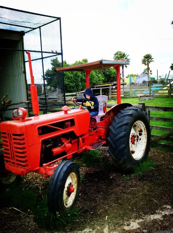 Auckland Karaka Country Retreat Otel Dış mekan fotoğraf